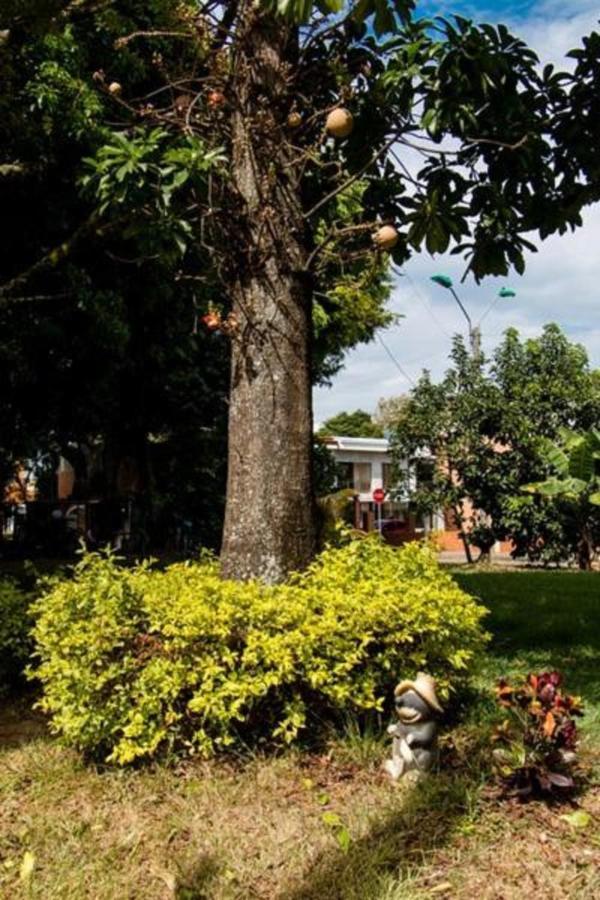 Hotel Hospedaje Caney "Descanso & Tradicion" Ayenda 1422 卡利 外观 照片